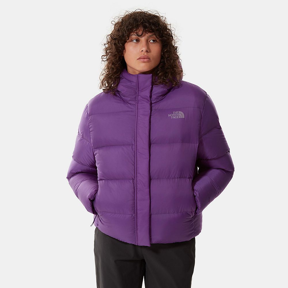 The North Face Winter Jacket Womens Australia - The North Face City Standard Purple (FVD-164280)